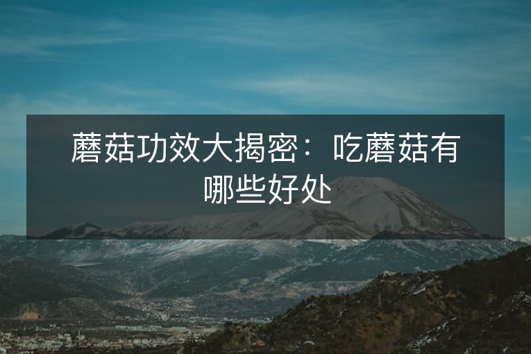 蘑菇功效大揭密：吃蘑菇有哪些好处